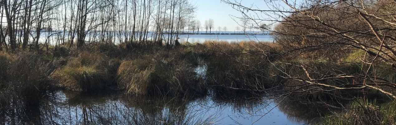 prairies lac parentis